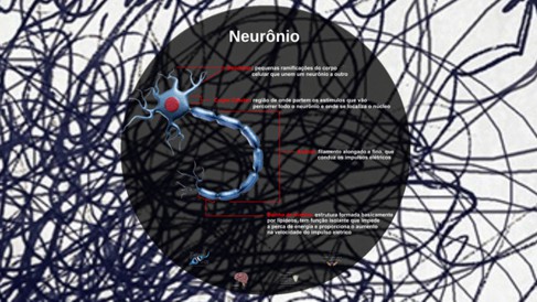 Curso sobre Neurociências UFF